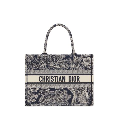 sac dior plage